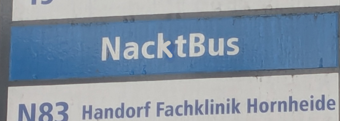 Nacktbus
