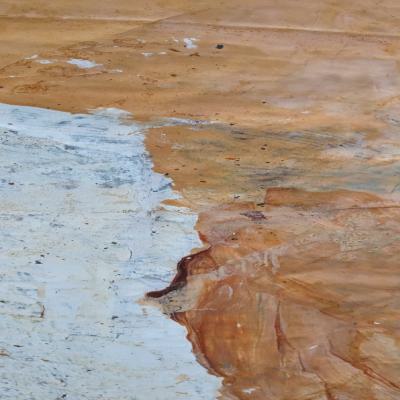 Biennale Venedig 2024 - Pavillon von Uruguay